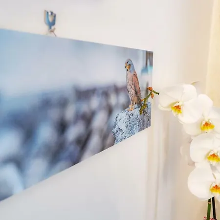 Il Nido Del Grillaio & Appartament Semesterbostad Matera